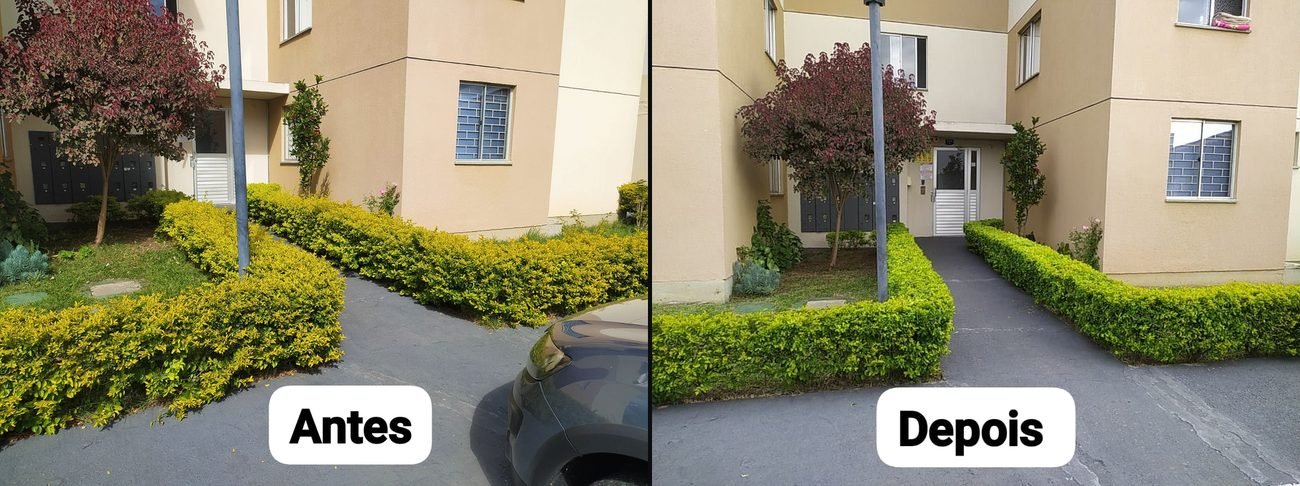 Paisagismo e Jardinagem — R20 Limpeza e Higienização