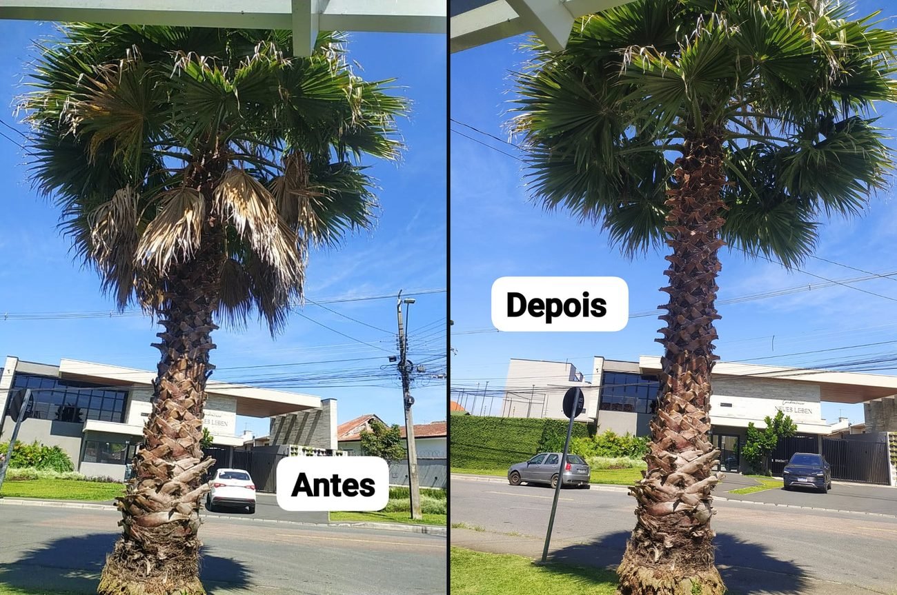 Paisagismo e Jardinagem — R20 Limpeza e Higienização