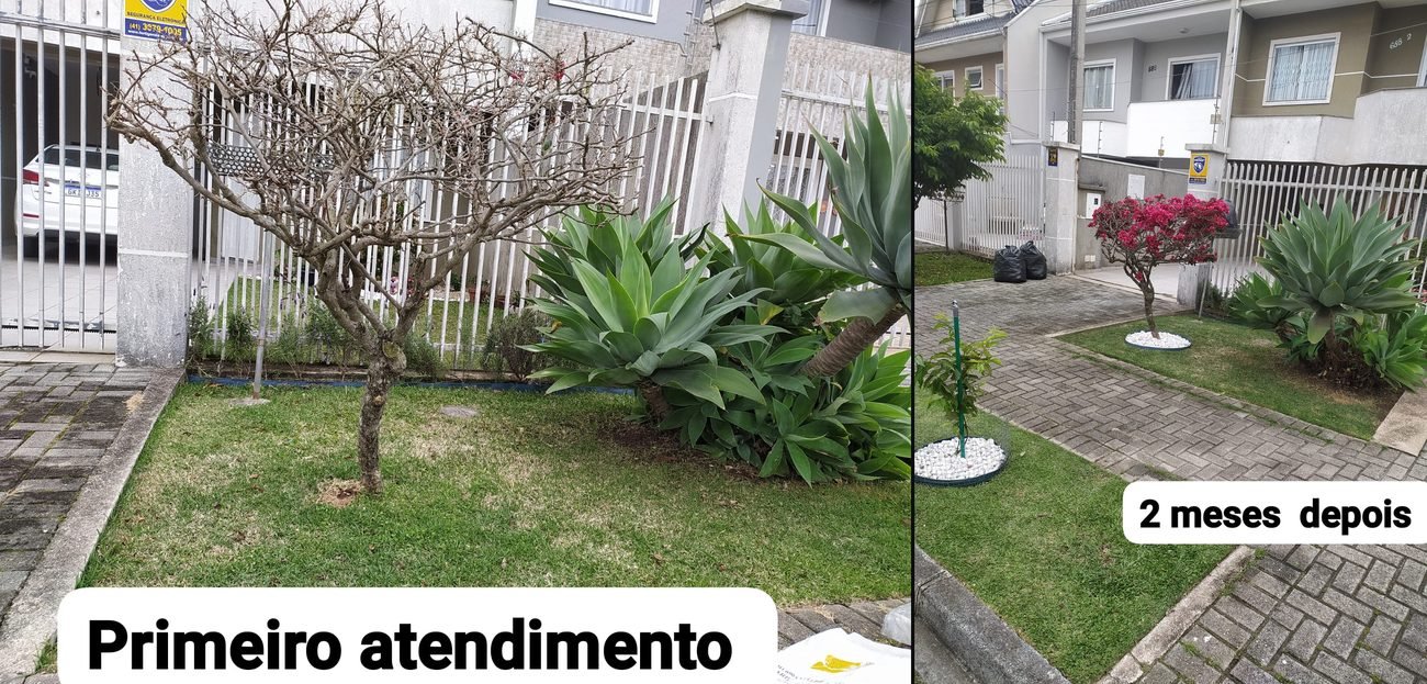 Jardim antes e depois da manutenção — R20