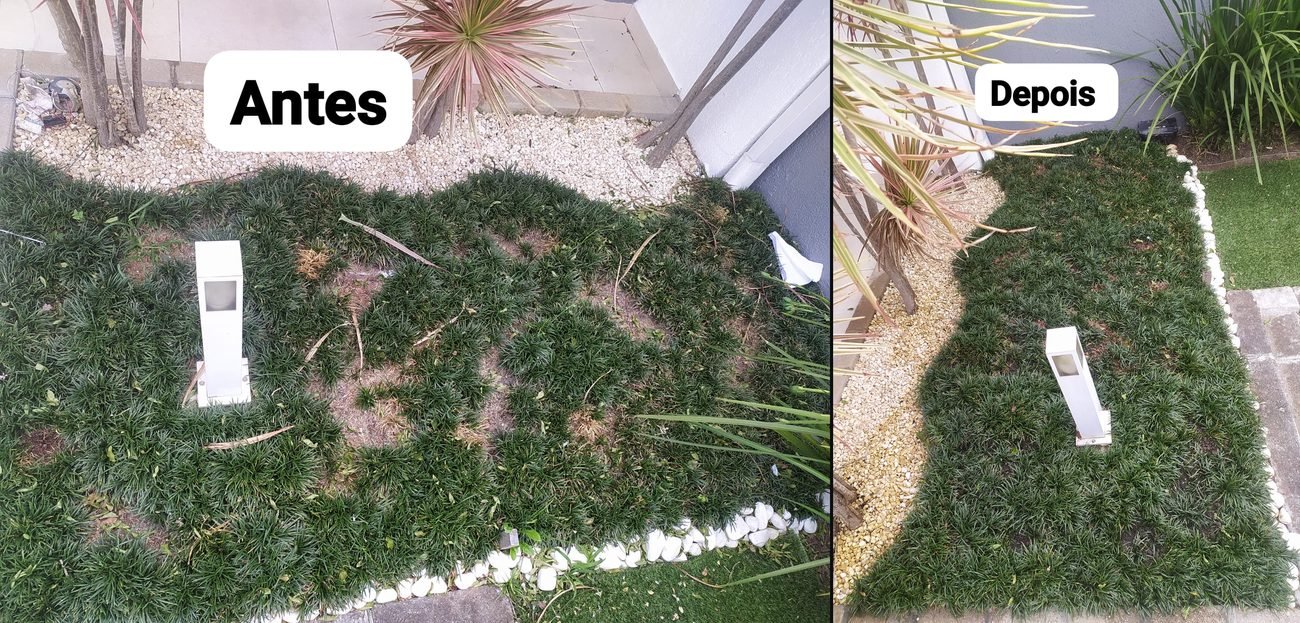 Paisagismo e Jardinagem — R20 Limpeza e Higienização