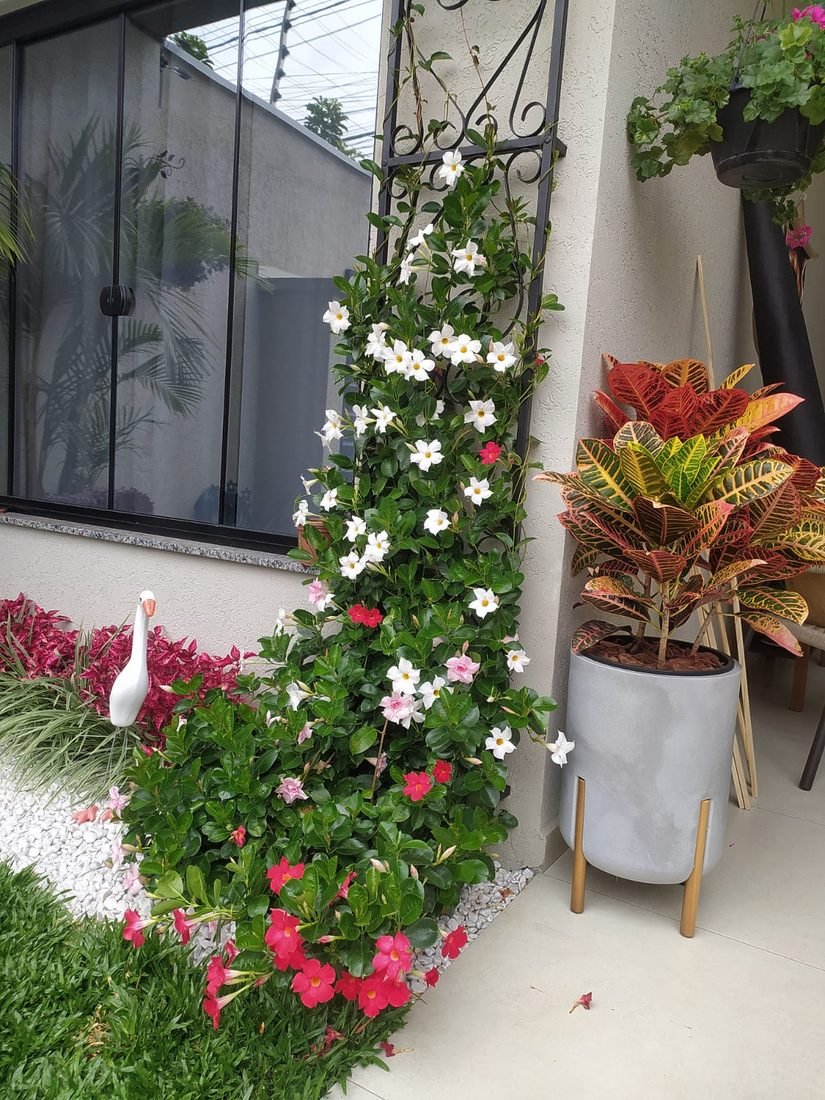 Paisagismo e Jardinagem — R20 Limpeza e Higienização