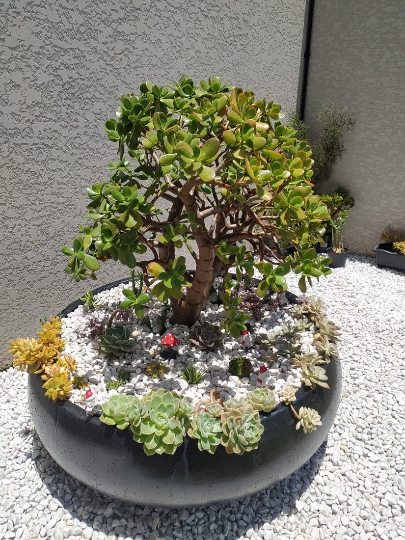 Paisagismo e Jardinagem — R20 Limpeza e Higienização