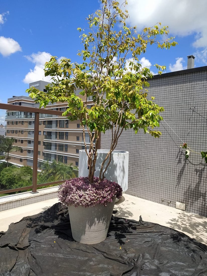 Paisagismo e Jardinagem — R20 Limpeza e Higienização